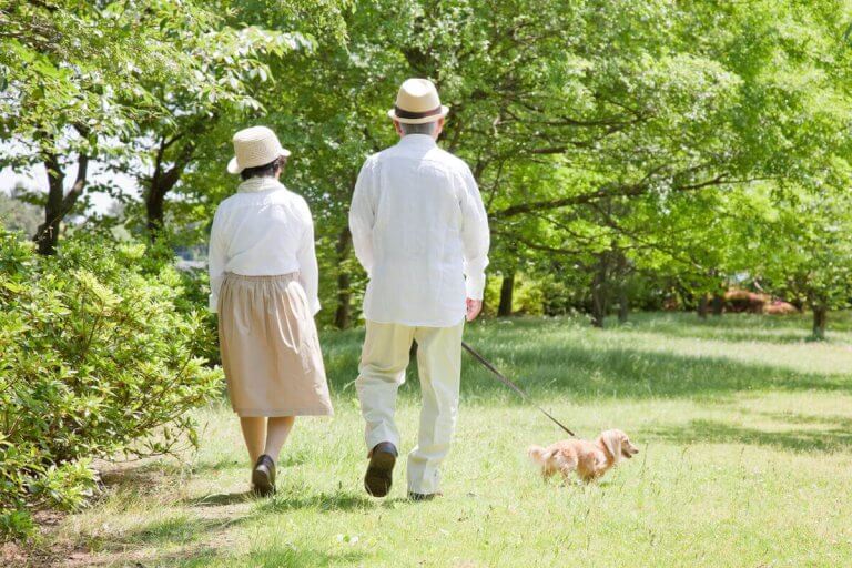 犬と散歩するシニア夫婦