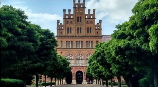 シニアが通う大学とは？通い方や目的、主な学習内容を解説