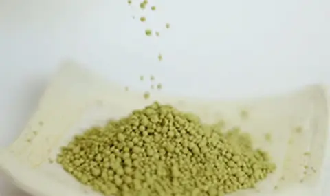 生きてる酵母
